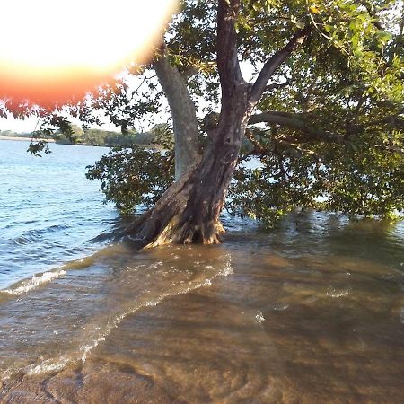 Niduwari Lake Homestay Dambulla Zewnętrze zdjęcie