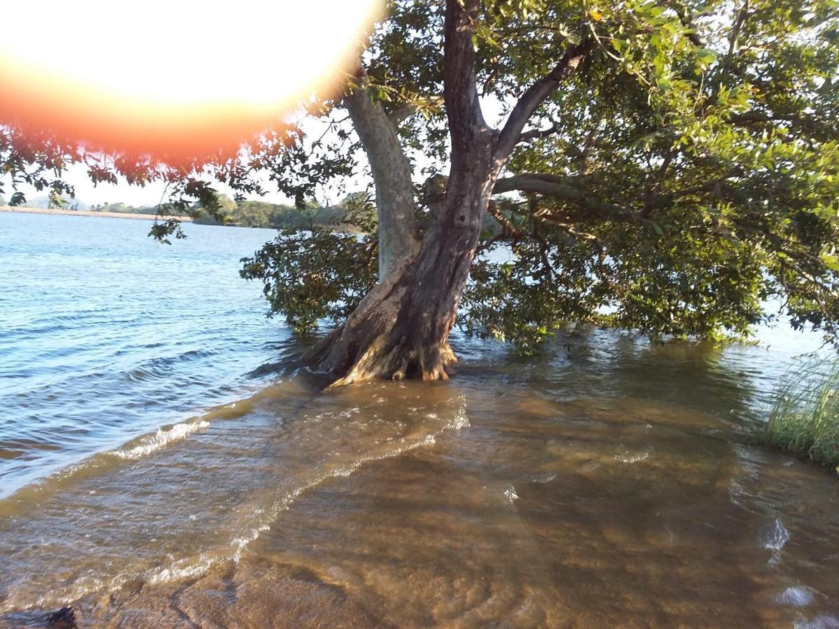 Niduwari Lake Homestay Dambulla Zewnętrze zdjęcie